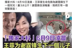 最新王菲爆料新闻事件,揭秘娱乐圈不为人知的秘密