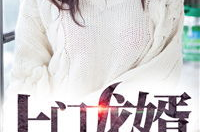 上门龙婿叶辰最新更新在线阅读,巅峰对决，谁主沉浮？